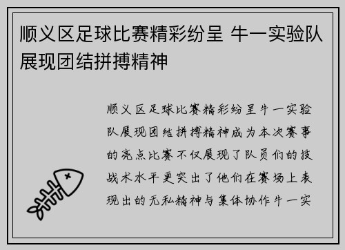 顺义区足球比赛精彩纷呈 牛一实验队展现团结拼搏精神
