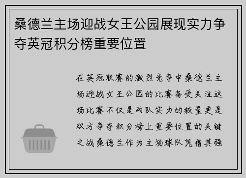 桑德兰主场迎战女王公园展现实力争夺英冠积分榜重要位置