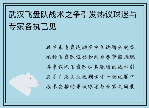 武汉飞盘队战术之争引发热议球迷与专家各执己见